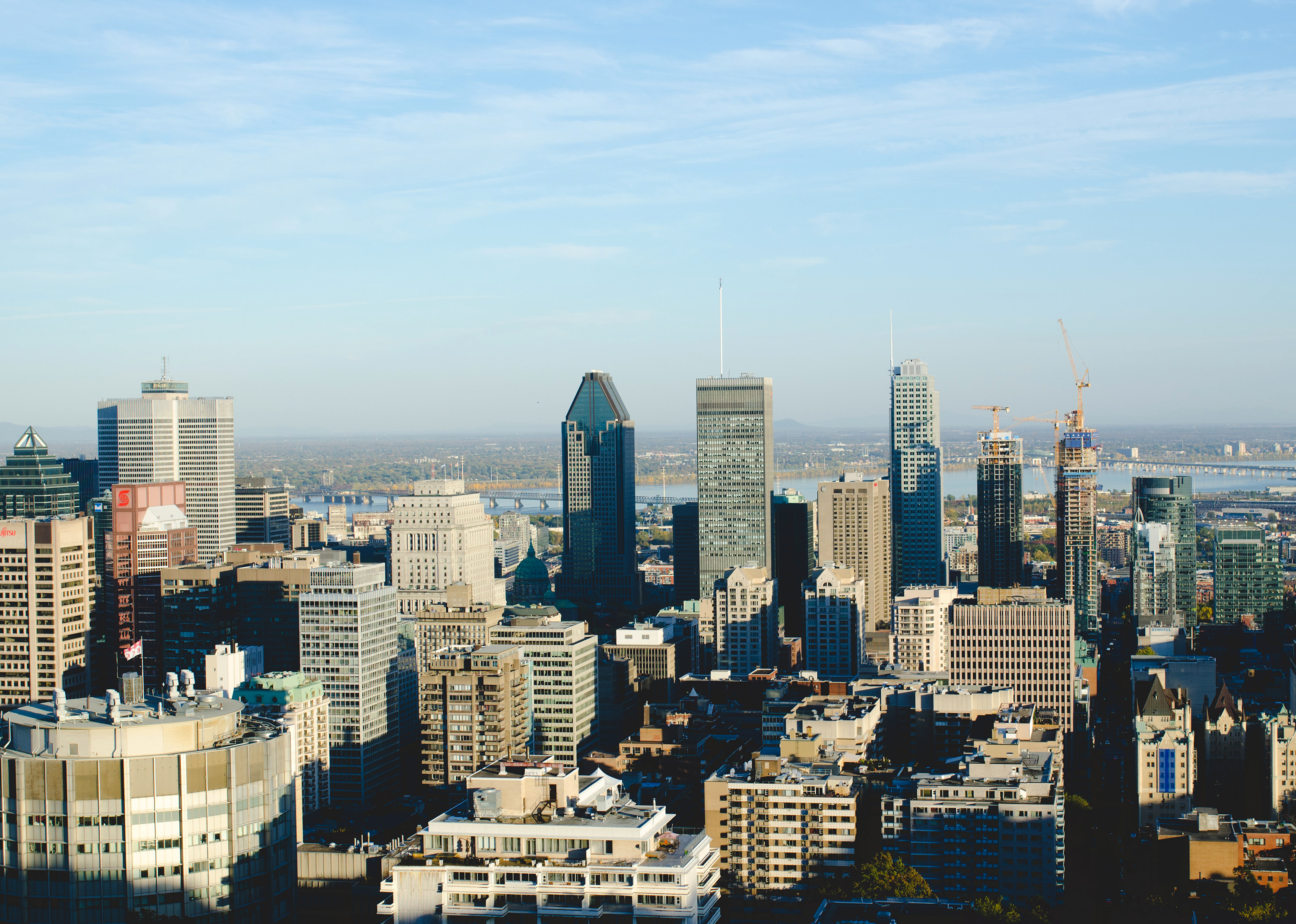 Davie to create Montréal-based division to invest in Canadian firms and innovation